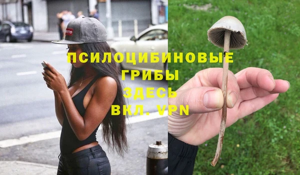 эйфоретик Зерноград