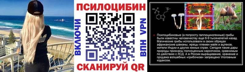 Купить закладки  Каменск-Уральский  Псилоцибиновые грибы MAGIC MUSHROOMS 
